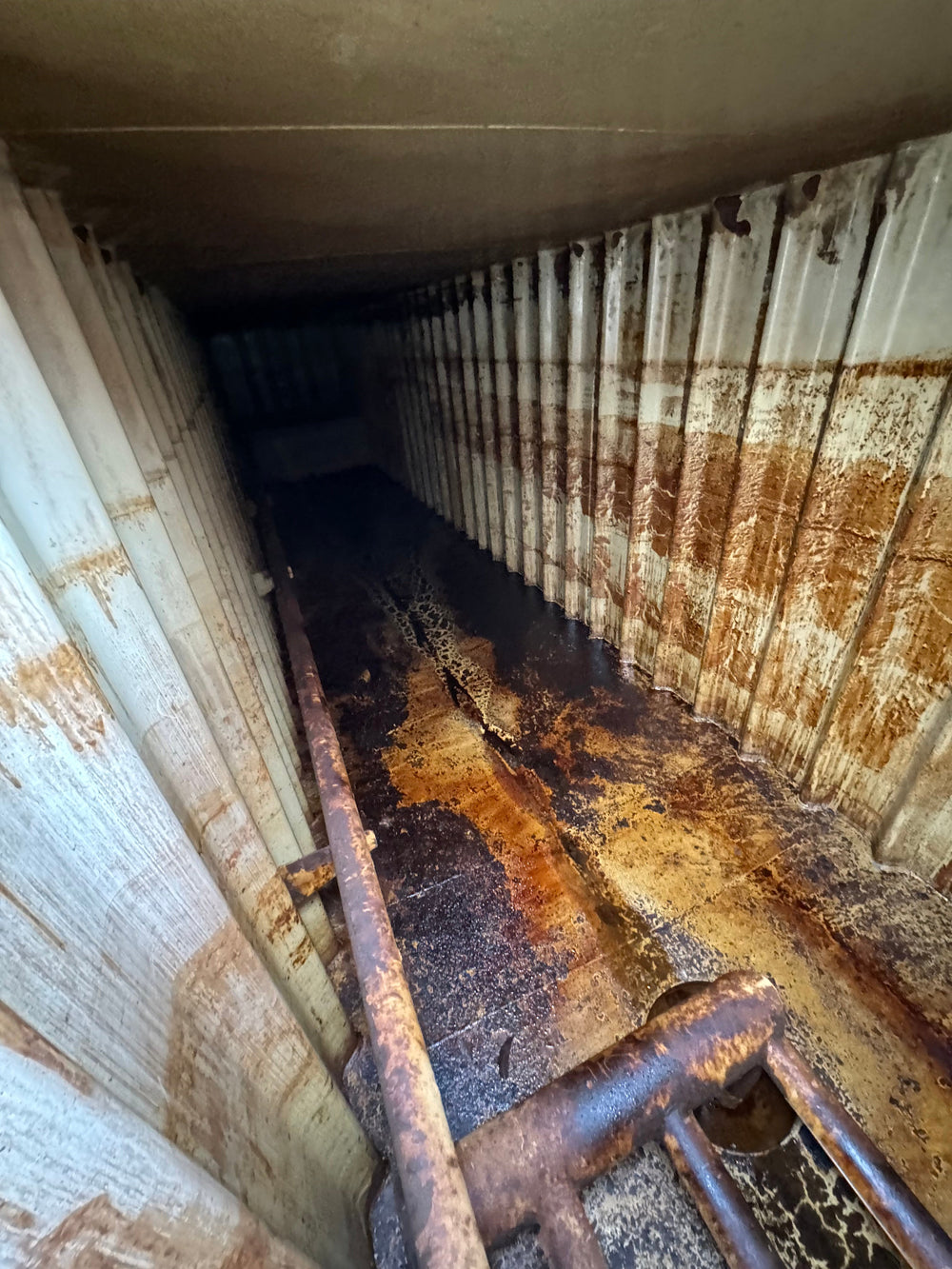 Dragon Flat Roof Frac Tank (FM380)